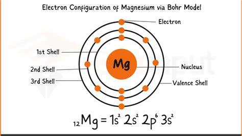 Magnesium Electron Configuration – Aufbau & Bohr Model .